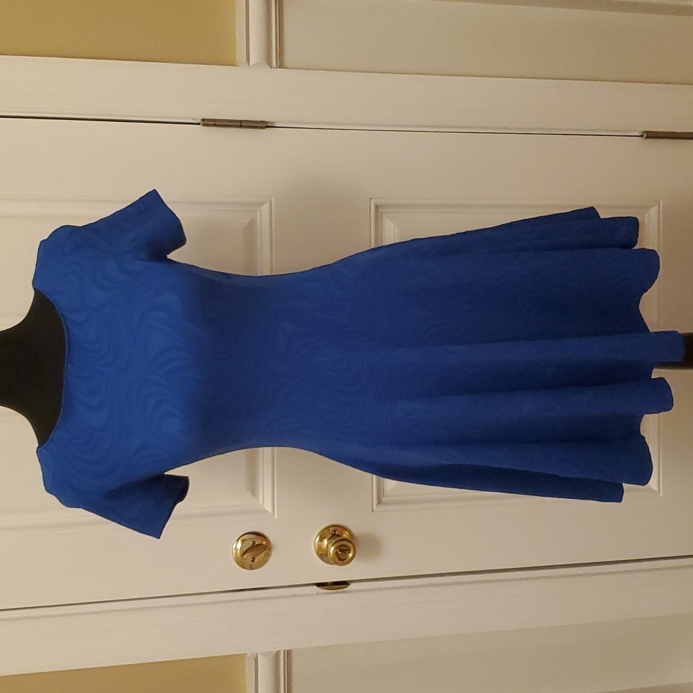 Pretty Textured Royal Blue Fit and Flare Dress Size 4P